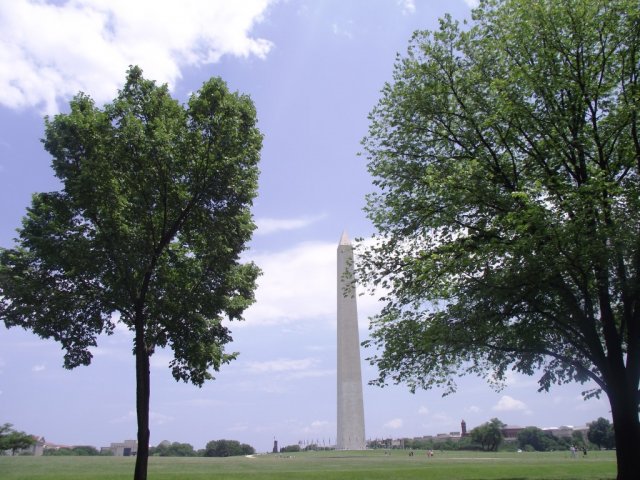 Washington DC 056